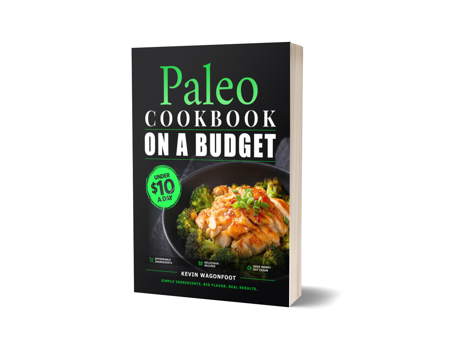 Paleo Cookbook on a Budget